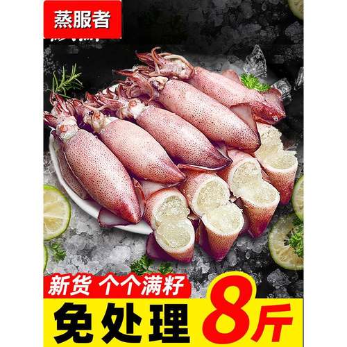 海兔子满籽墨鱼仔新鲜海兔鲜活带籽笔管鱼大乌贼籽乌鱿鱼海鲜水产