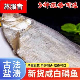 ly新货白鳞鱼 不是霉香白鳞鱼咸鱼干货自晒清蒸鱼海鱼500g海鲜干