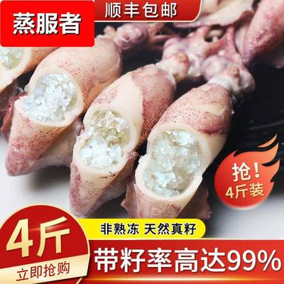 海兔子满籽新鲜活笔管鱼带籽海兔海鲜鲜冻全籽籽乌整箱小鱿鱼水产