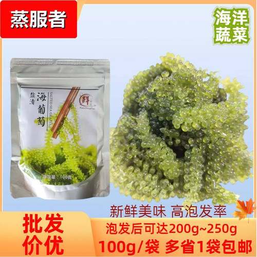 盐渍海葡萄绿蟹籽100g海藻寿司食材料理家庭商用海洋蔬菜