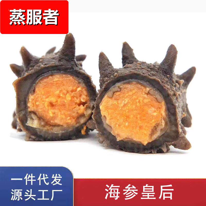 辽参海参皇后 满籽参母 大连即食海参带籽海参花参母刺参500g