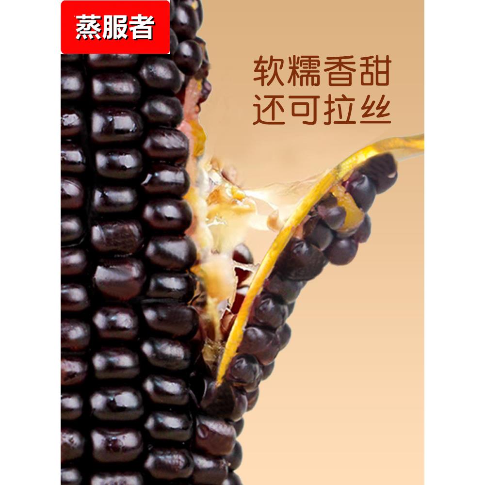 黑糯玉米大棒新鲜真空包装香甜糯黑玉米北纬山西忻州低脂代餐苞米