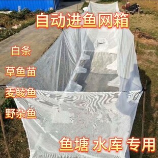 水库鱼塘白条杂鱼克星 自动进鱼网箱 自动捕鱼网箱 尼龙进鱼网箱
