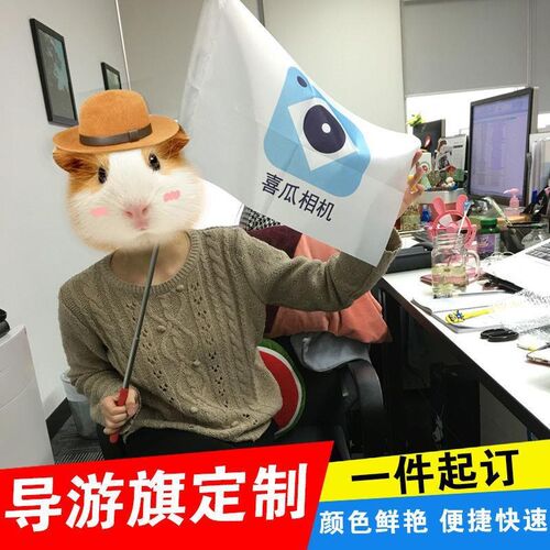 导游旗定制旅游旅行社导游旗子订做个性卡通领队旗帜定做logo旗