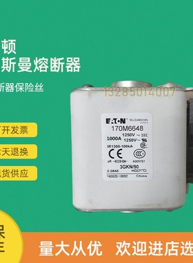 全新快速熔断器保险170M6648 170M6649 17L0M6650 170M6651