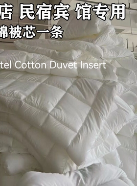 Hotel Cotton Duvet Insert Quilt Inner Comforter Core Double