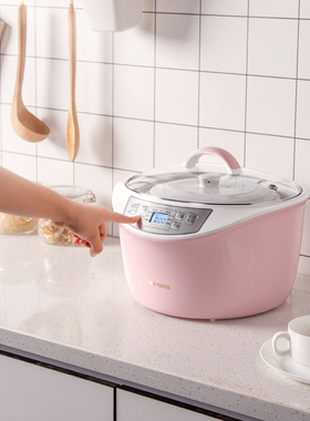 onze天际 GDE 隔水电炖锅陶瓷燕窝炖盅一锅四胆煲汤全自动