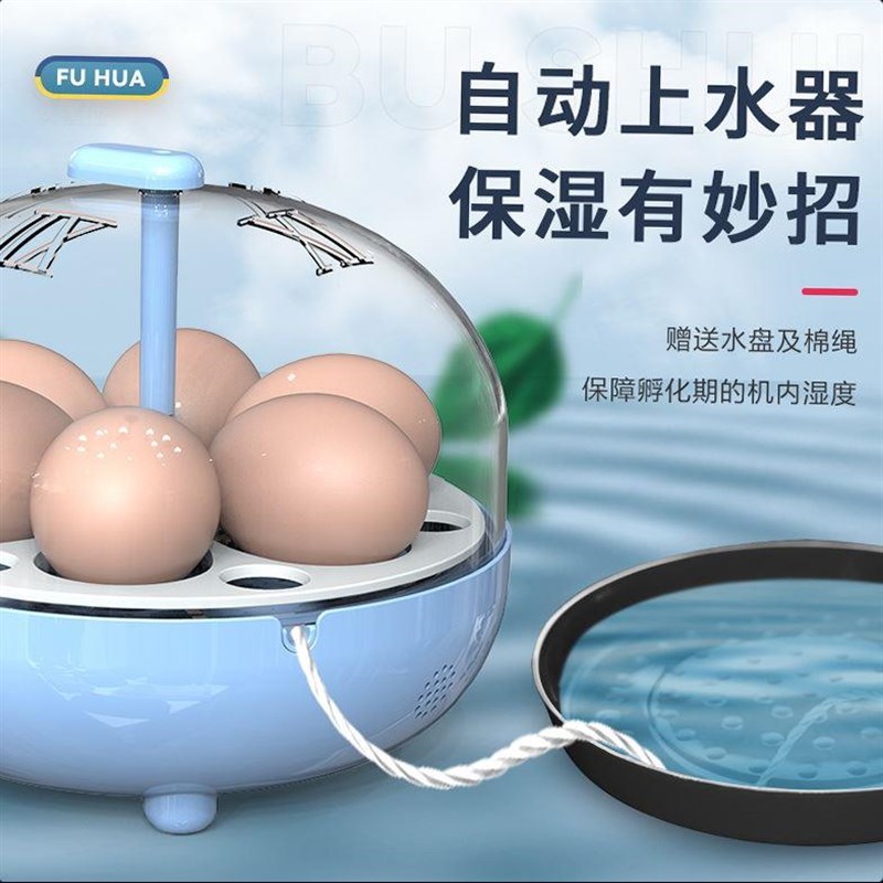 孵化器小型全自动智能迷你儿童孵蛋器送受精蛋小鸡鸟枚