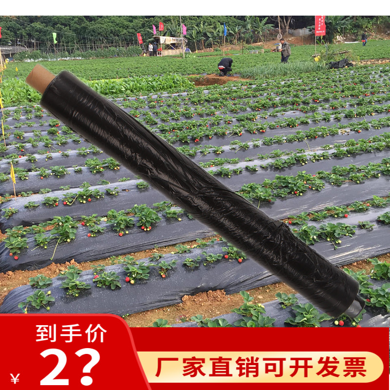 除草黑地膜农用黑膜蔬菜白膜防草膜保温保湿果园塑料膜加厚,农机/农具/农膜,农用薄膜,淘宝优惠券,粉丝福利购,淘宝优惠卷