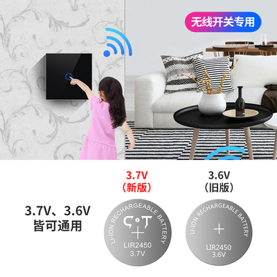 驰特LIR2450 3.6V纽扣充电锂电池电脑主板电子称CR2450充电器套装