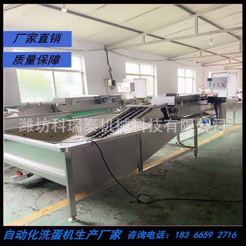 自动整序大型鸡蛋清洗机 清水高压喷淋式洗蛋机 故障率低