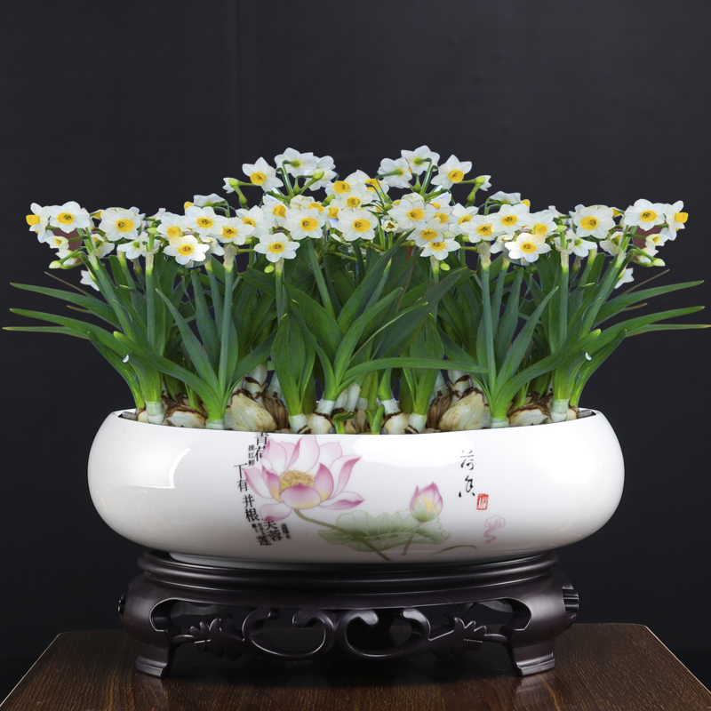 哥窑碗莲水仙水培花盆陶瓷大口径家用阳台一叶莲水培植物容器