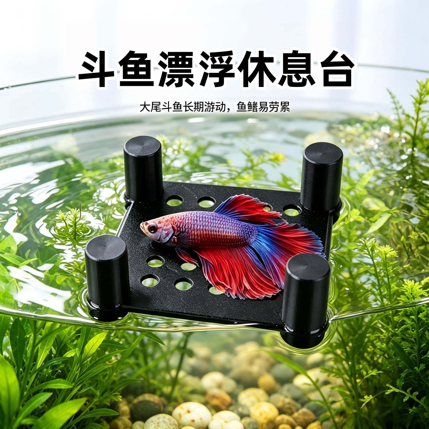 3D打印漂浮斗鱼床随水升降多孔