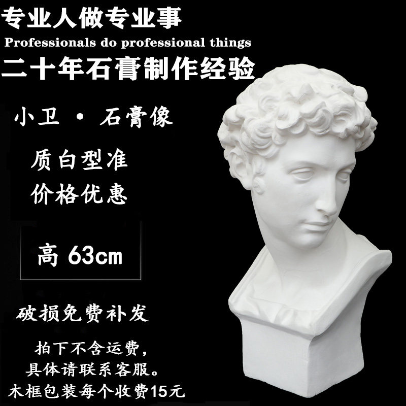 小卫石膏头像 朱利亚诺德梅第奇 美术石膏教具 N人物石膏头像H63C