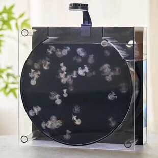 网红水母夜市摆摊专用水母缸12升循环系统中小型水母养X殖缸usb口