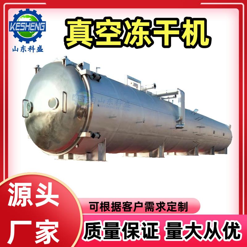 咖啡奶茶果蔬干真空冻干设备 商用蔬菜水果冻干机 真空冷冻干燥机