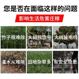 强力除树剂除碍事树王烂根快速枯死竹子药清杂草一滴除根神器