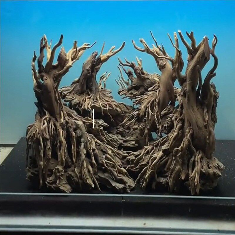 生态缸树桩d骨架造景南美缸莫斯树树洞溪流缸拱桥摆件一木成景沉