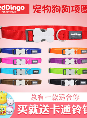 Reddingo狗狗项圈 瑞鼎狗 泰迪金毛比熊萨摩小中大型犬 宠物狗脖