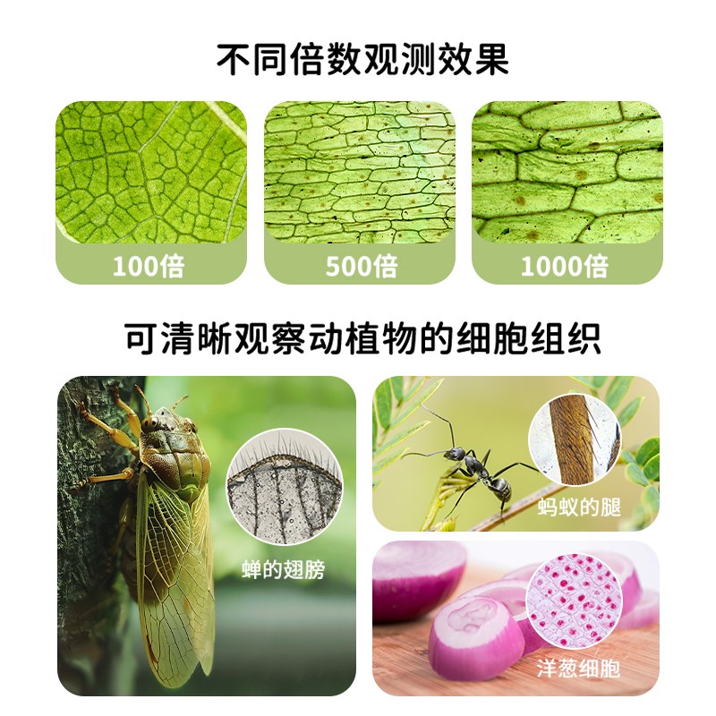 显微镜儿童科学实验室中小学生级数码可看螨虫手持可携式电子手机