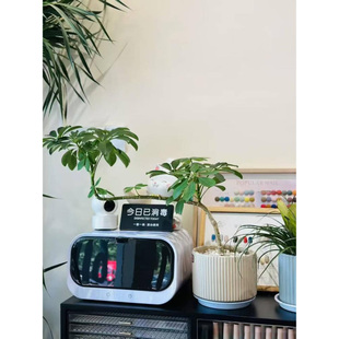 钞票衣物口腔诊所医疗采耳工具消毒柜内衣裤机器化妆刷首饰消毒盒