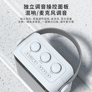 十度S95蓝牙版 户外小音响无线便携式老人广场舞小音箱晨练播放器