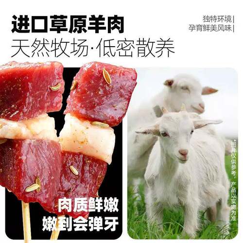 新货大希地羊肉串腌制烤串小串半成品烧烤空气炸锅食材