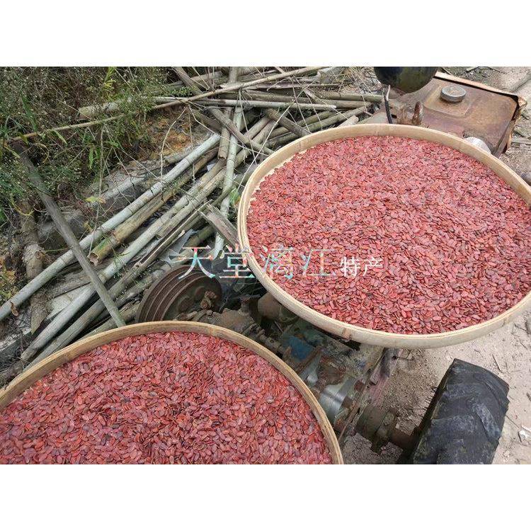 天堂漓江桂林特产新货原味生红瓜子农家生的红西瓜籽粒粒饱满