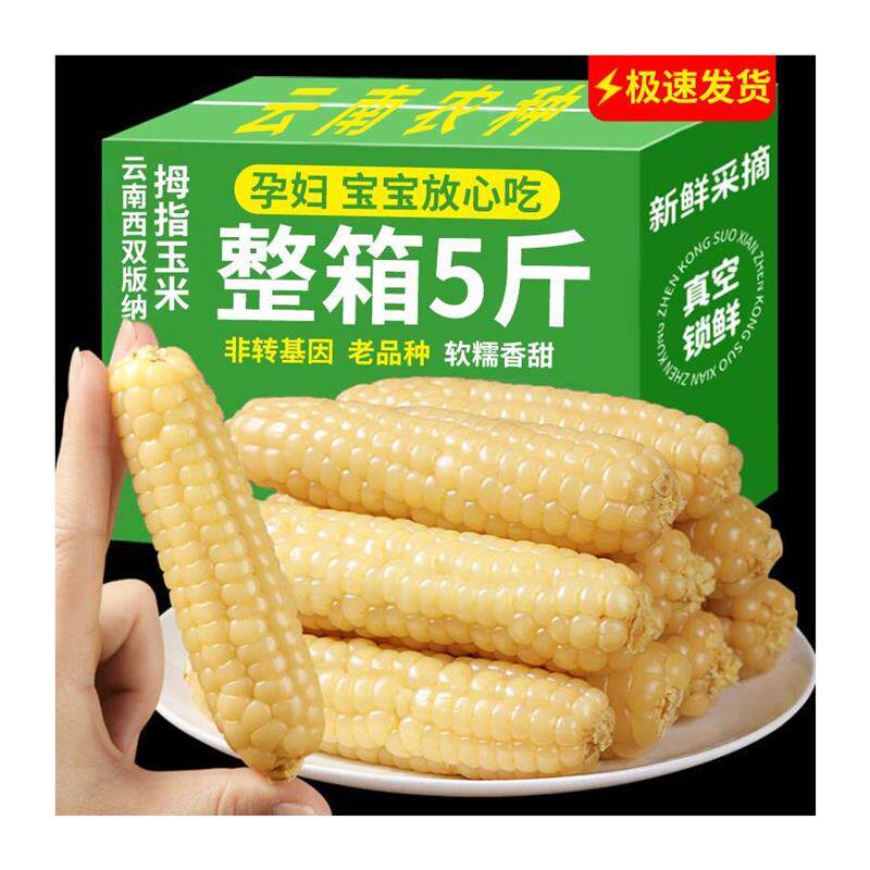 拇指玉米婴儿西双版纳手指