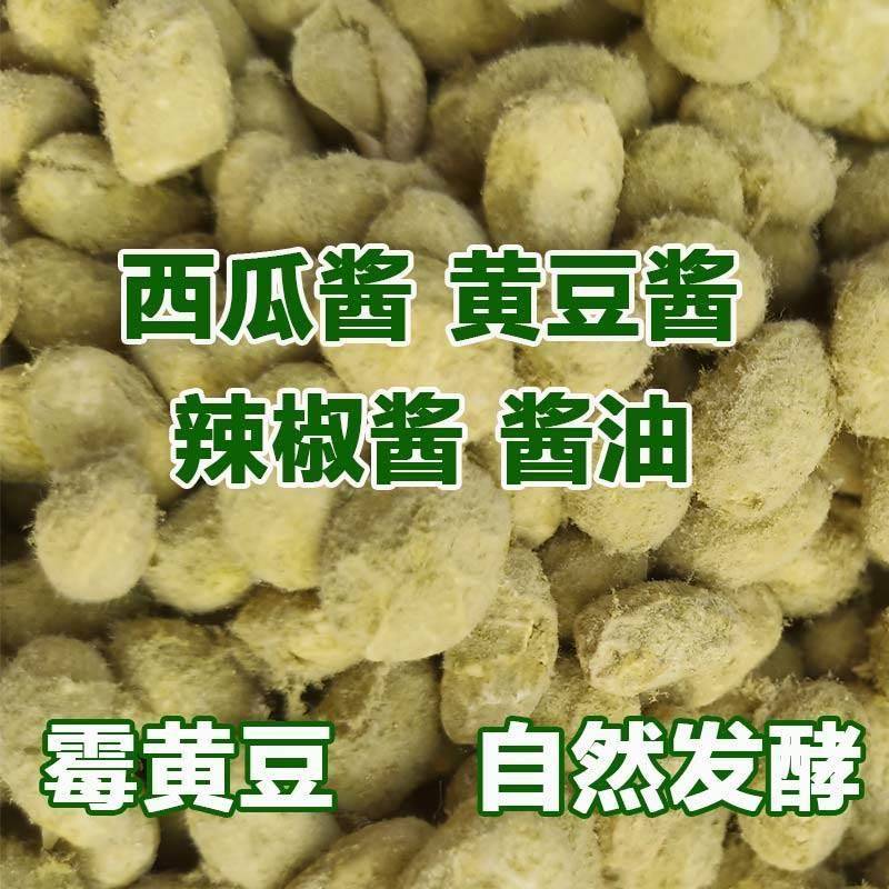 酱豆半成品西瓜酱豆河南特产干干货大全酱豆霉豆子散装农家自制