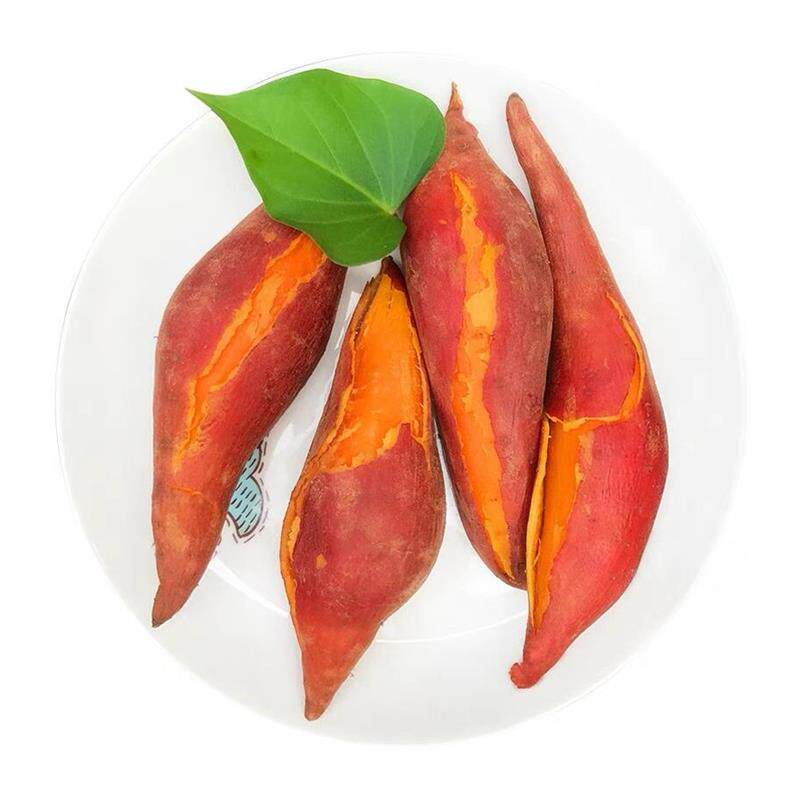 正宗六鳌蜜薯糖心板栗红薯