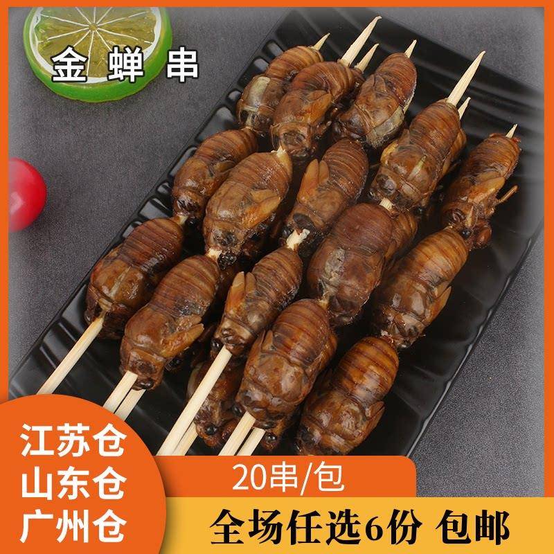新货金蝉串20支/包知了猴串冷冻新鲜烧烤食材半成品商用串串香
