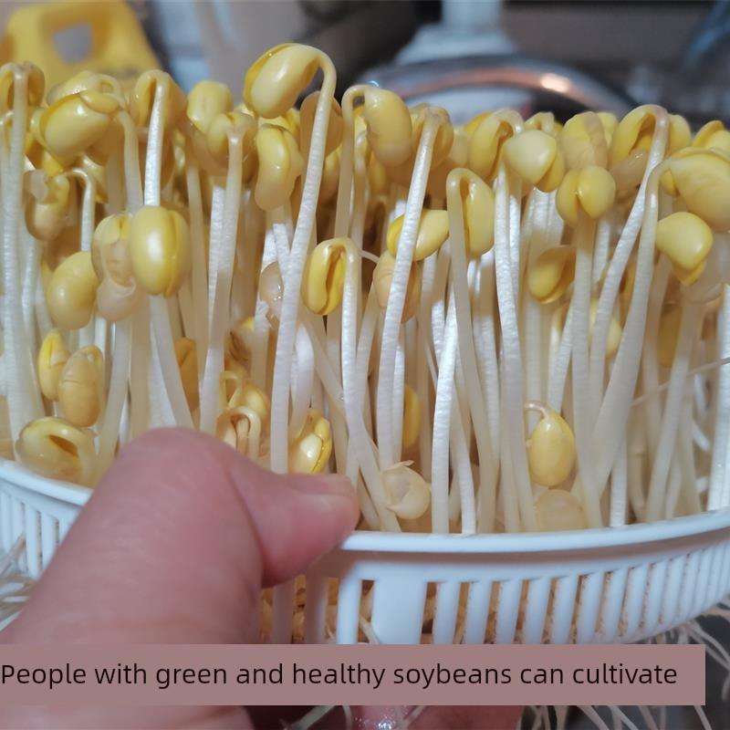 新黄豆发豆芽专用生豆芽泡豆芽发芽黄豆优质大豆非转基因2斤包邮