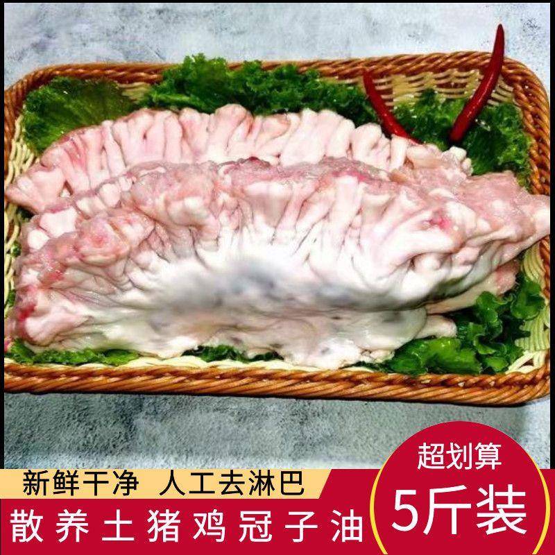 新货鸡冠油精修去淋巴猪冠油5斤新鲜鸡冠子油下水油肠油猪油出油
