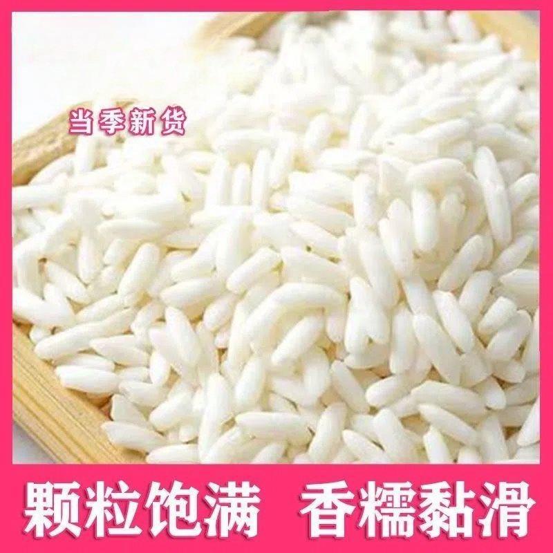 【当季新米】长糯米长江米新鲜散装 包粽子甜酒专用江米白糯米1斤