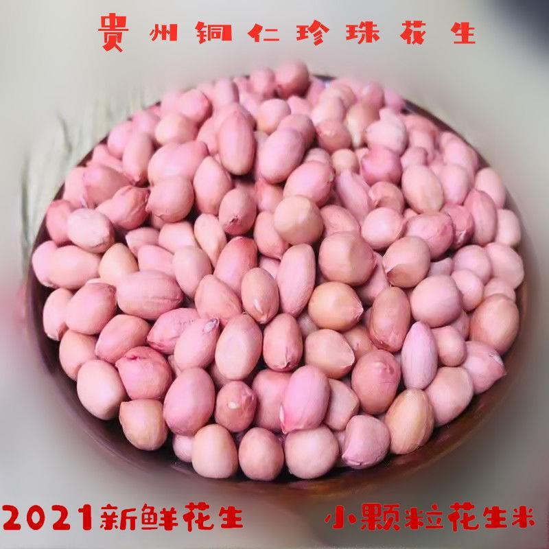 铜仁珍珠花生贵州特产小颗粒花生小粒花生米新鲜去壳生花生米