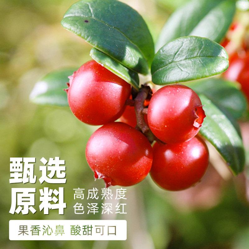 新货蔓越莓干碎100g家用即食做雪花酥曲奇饼干烘焙专用原材料小包