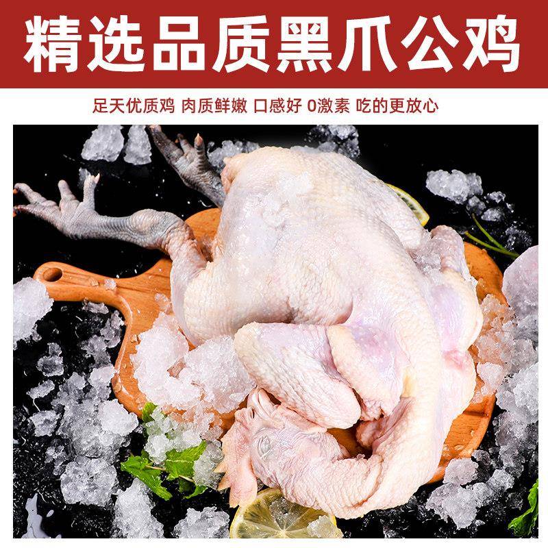 新货【散养黑脚土公鸡】农家散养草鸡现杀新鲜滋补月子鸡肉笨鸡柴