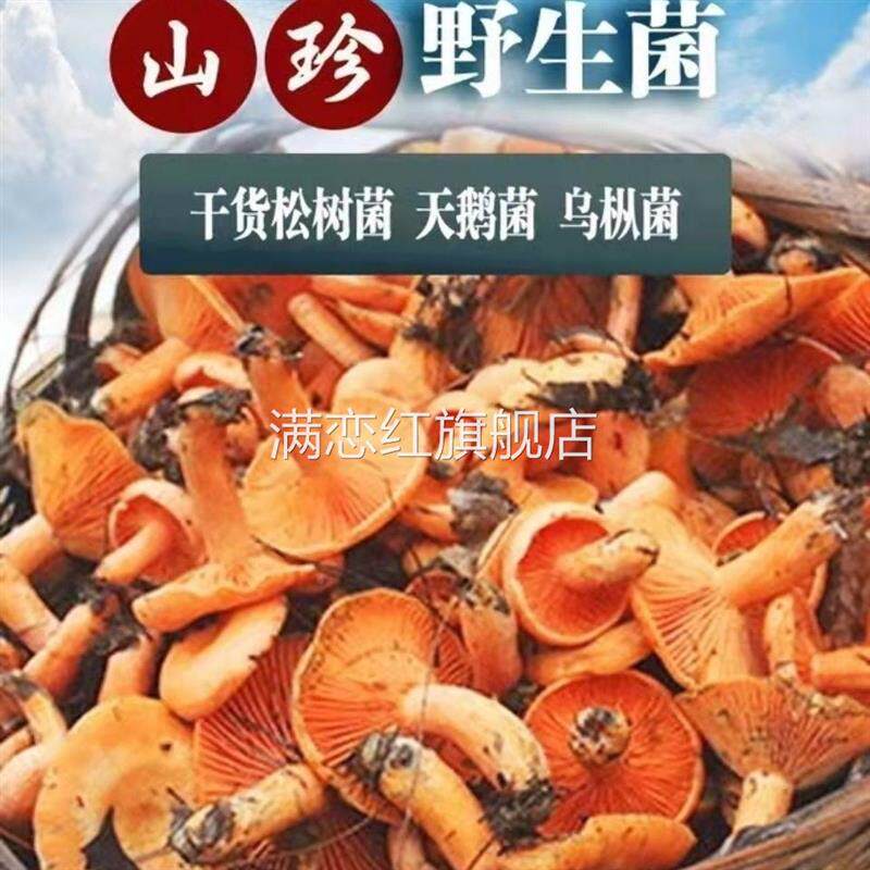 野生干松树菌寒菌松菇松乳菇乌枞菌野生菌干货天鹅菌红菇干香菇