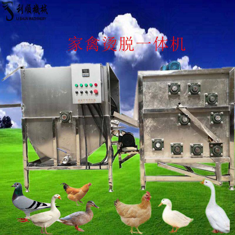 l新款家禽自动脱毛机实体厂现货鸡鸭鹅烫脱一体机可来厂试机