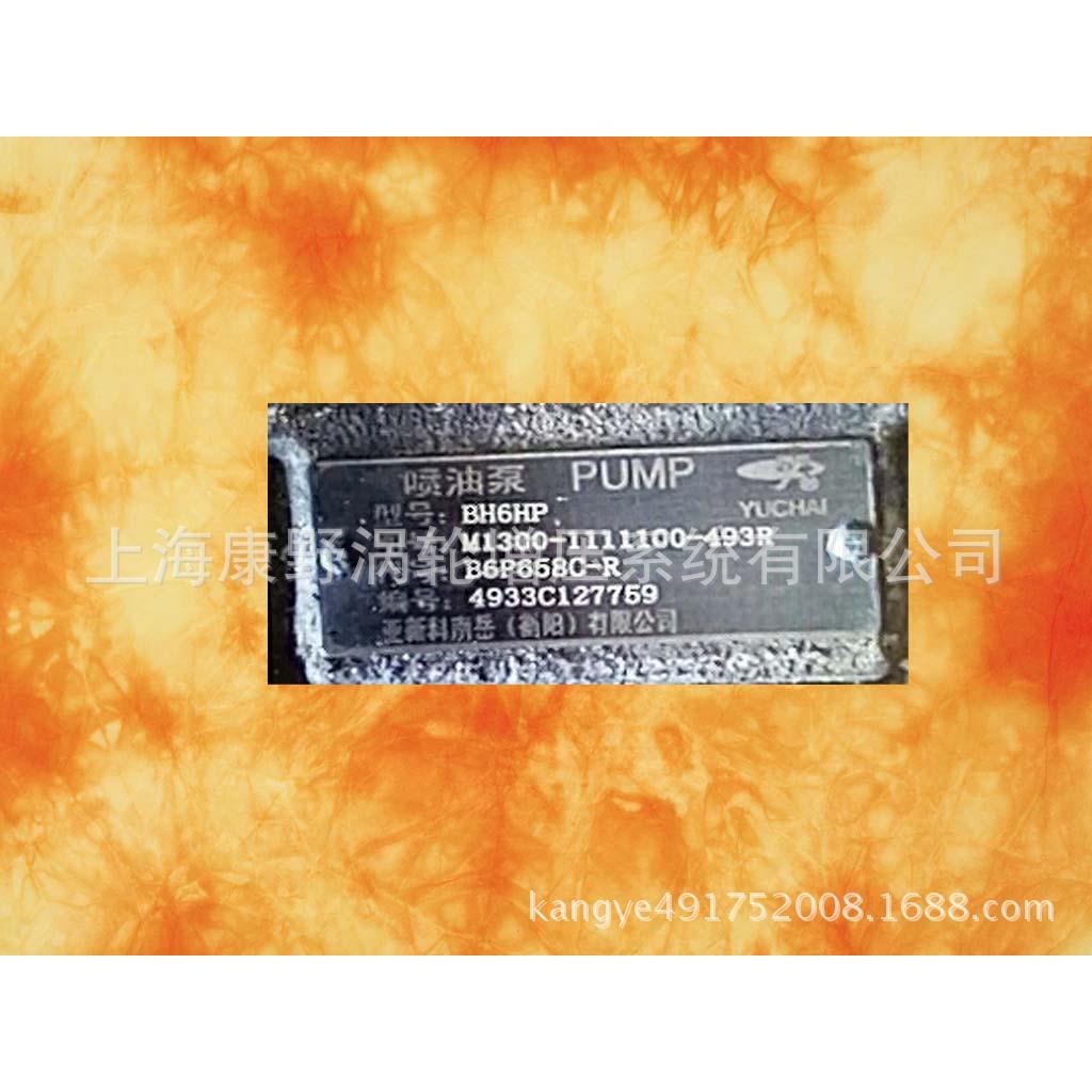 YC喷油泵M1300-1111100b6P658C-R和MD300-1111100-538CB6P639