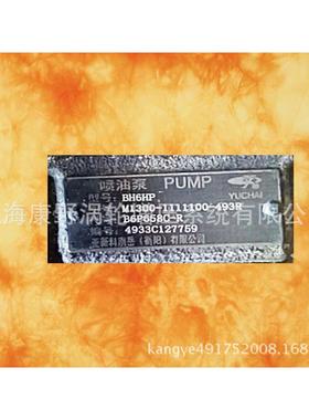 YC喷油泵M1300-1111100b6P658C-R和MD300-1111100-538CB6P639