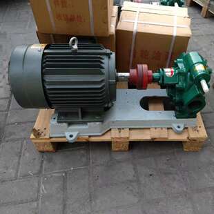 KCB-200高温齿轮油泵河北泊头厚勇齿轮泵厂