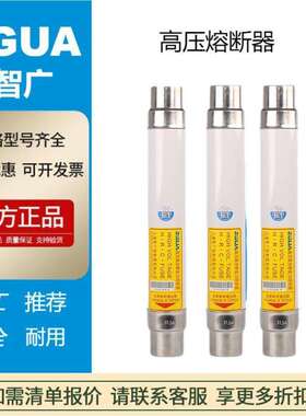 【出口品质高】高压熔断器XRNT1-12KV 20A 现货 24KV 6.3~20AXRNT