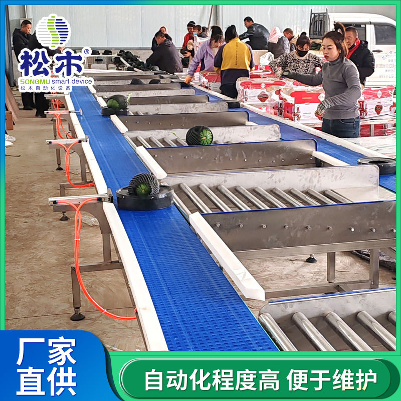 商用西瓜分选设备 智能称重分级机 果蔬分选加工流水线