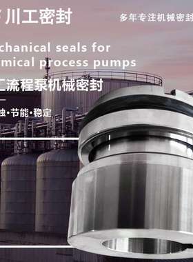 碳化钨和碳化硅机械密封 IJ150-125-350\HT100-65-250PK 轴动密封