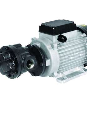 西班牙萨摩亚 SAMOA-HALLBAUER 泵