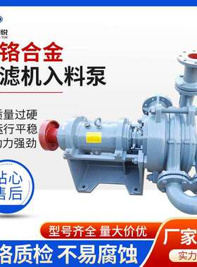 压滤机入料泵ZJW洗煤厂送料给料泵125ZJW-II加压杂质泵SYA泥浆泵