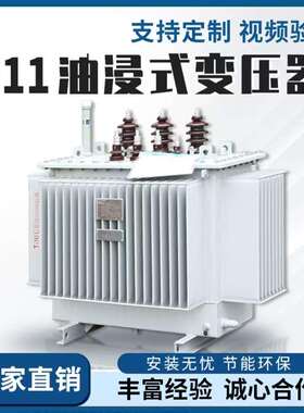 S11-250/630kva油浸式变压器10kv铜铝户外柱上高压三相电力变压器