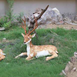毛仿真动物梅花鹿鹿鹿发财圣诞鹿工艺品摆件玩具鹿真鹿